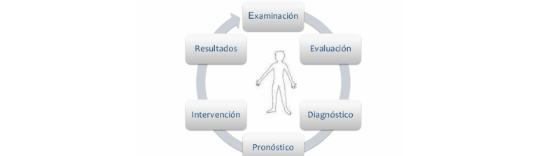 FISIOTERAPIA - Modelo de Intervención en Fisioterapia